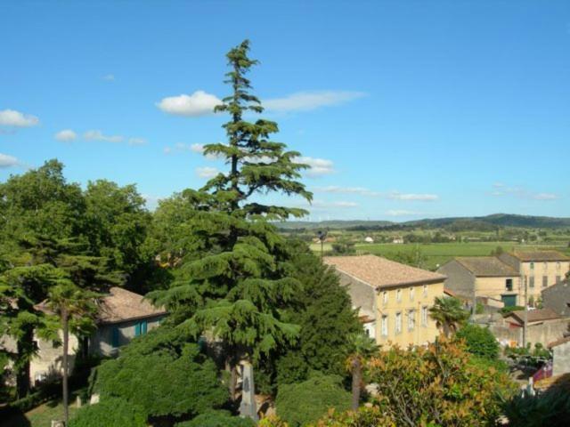 Chambres D'Hotes Le Clos De Venes Saint-Couat-dʼAude エクステリア 写真